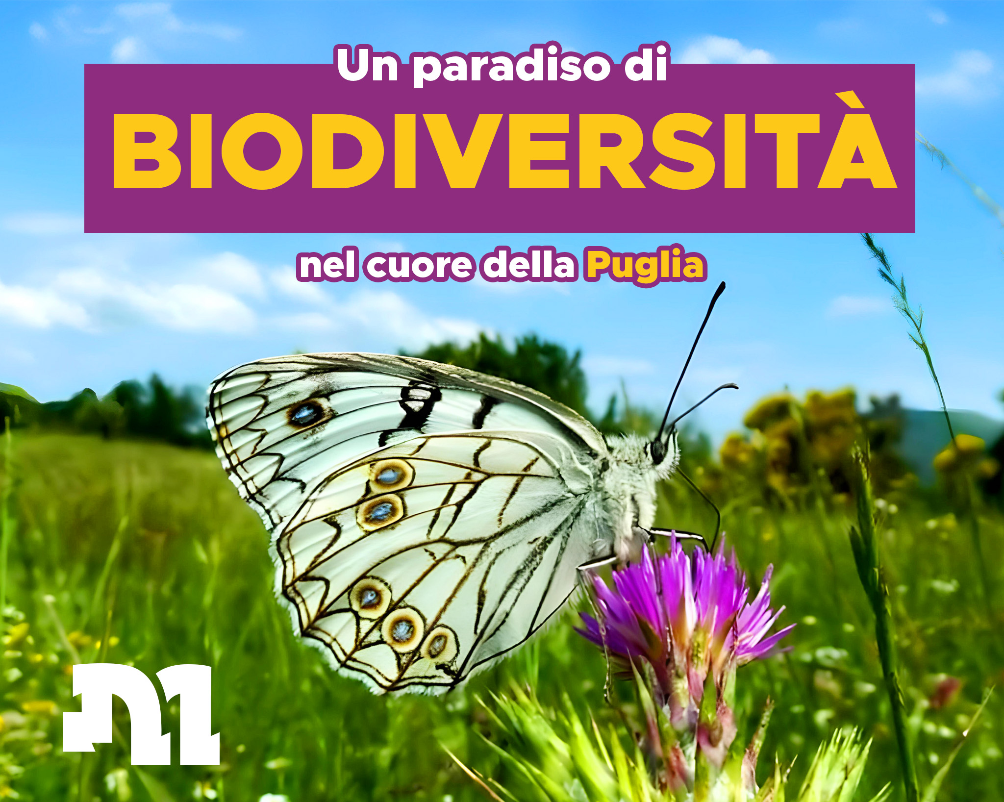 BIODIVERSITA'